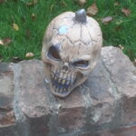Halloween Museum Skull
