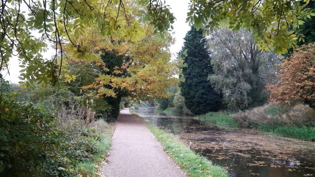 Erewash Canal nature at Autumn