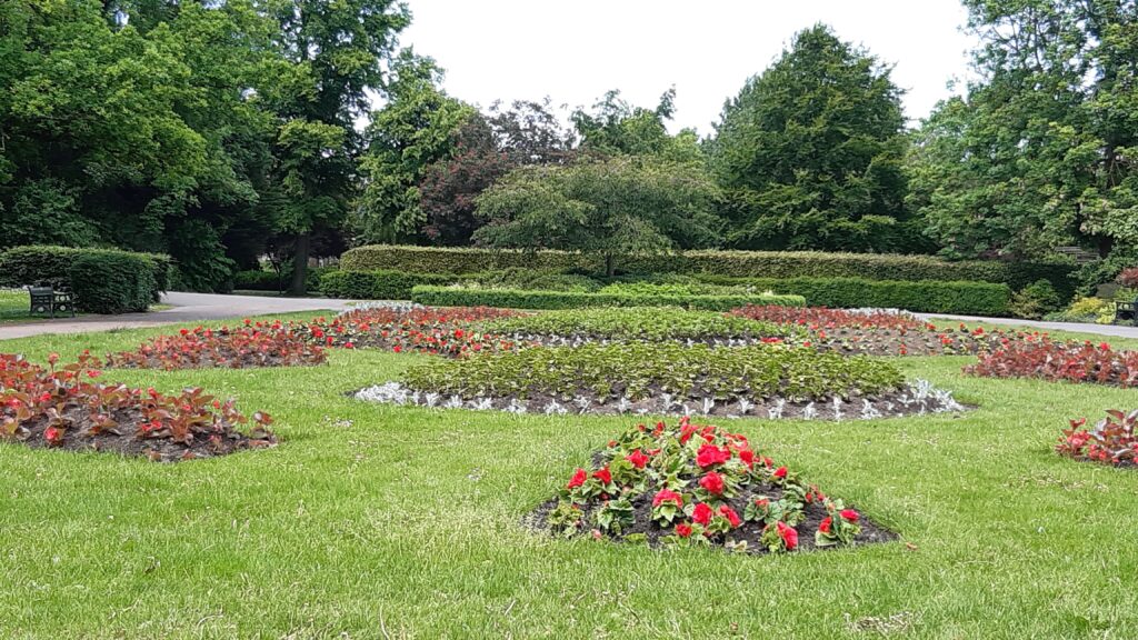 Victoria park Ilkeston Gardens and wildlife