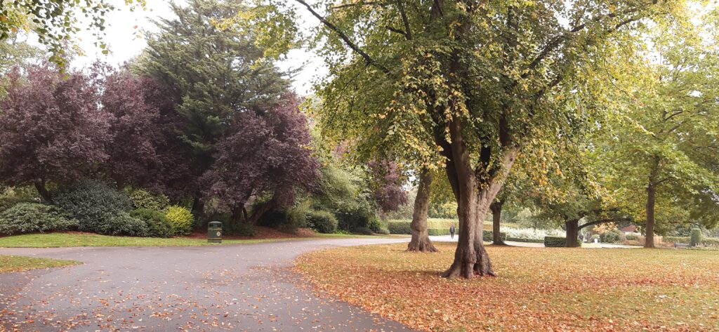 Victoria park Ilkeston path and trees