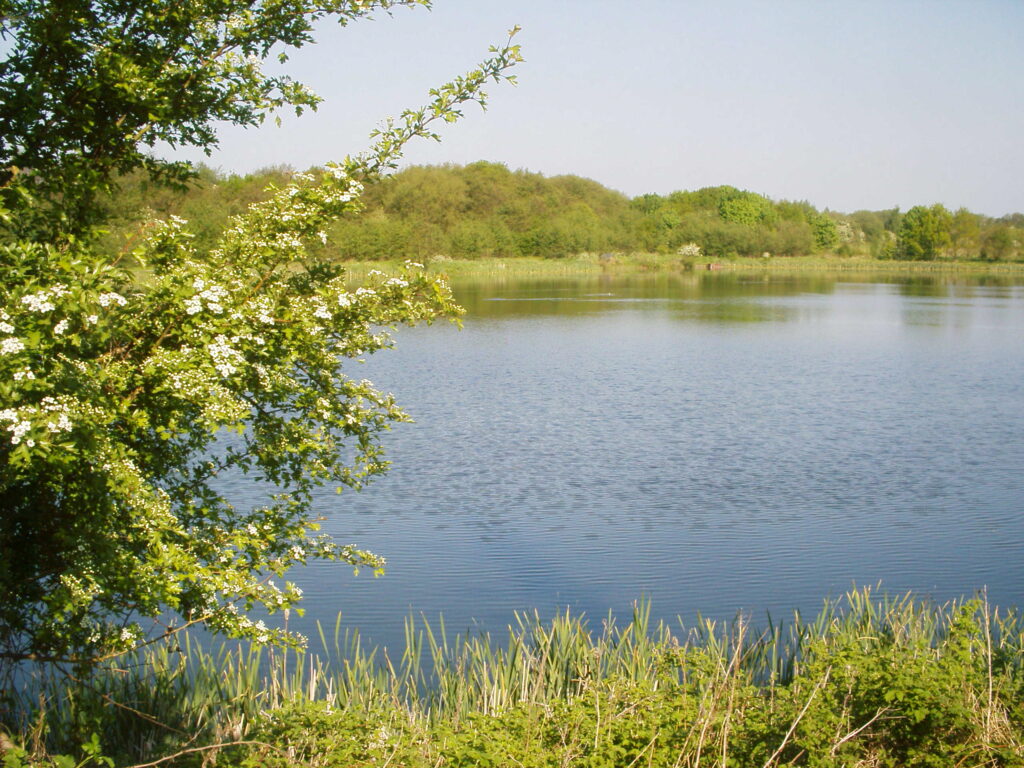 Lake and Fields and Manor Fields Reserve