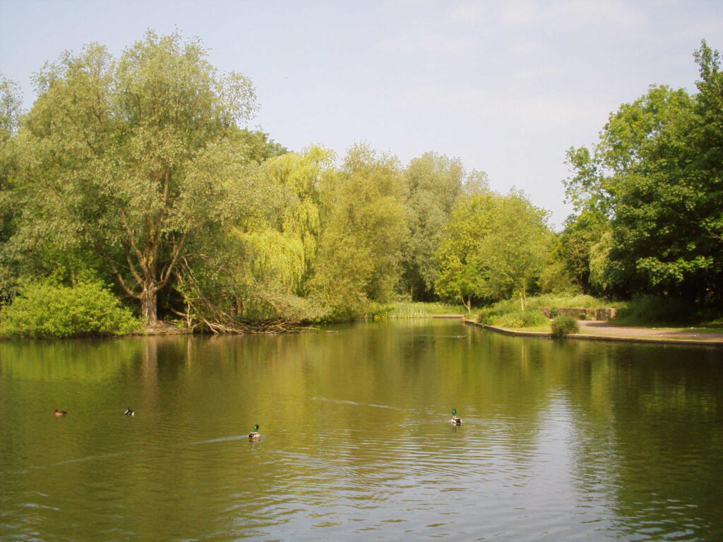 Kirk Hallam Lake and Meadows Lake and ducks