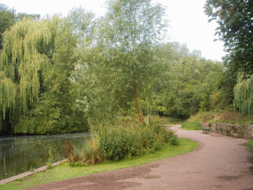 Kirk Hallam Lake and Meadows Path and trail