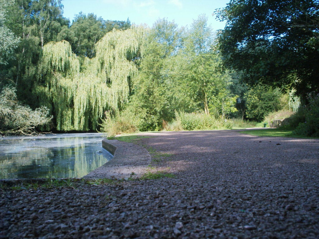 Kirk Hallam Lake and Meadows Nature Trees and path