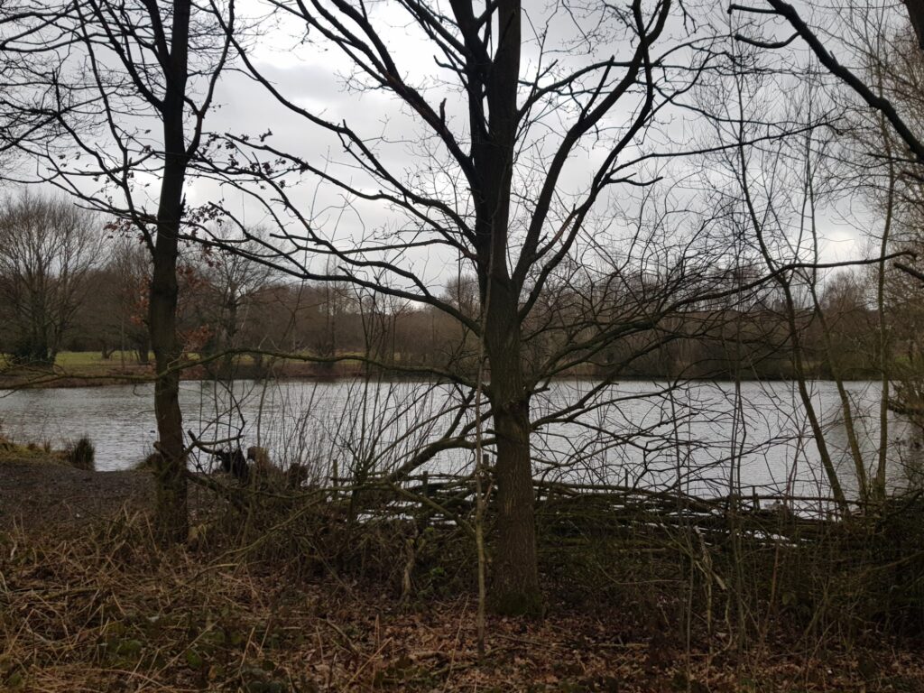 view across the pond at pioneer meadows