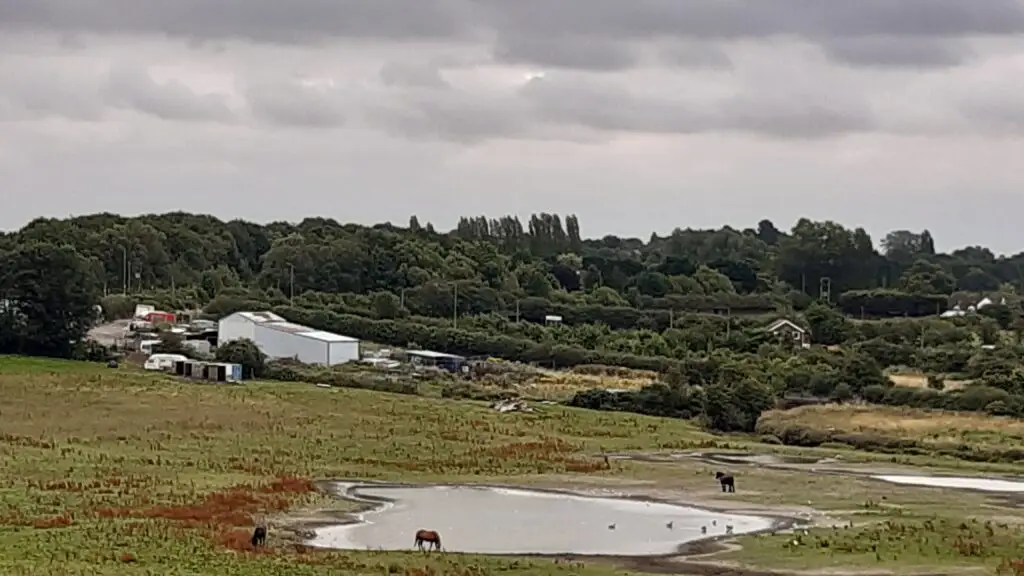 View from Bennerley Viaduct: The Iron Giant