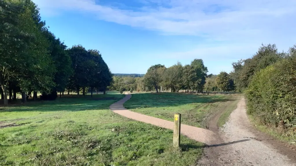 Pewit Carr Local Nature Reserve Trail